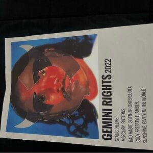 Gemini Rights 2022 Poster